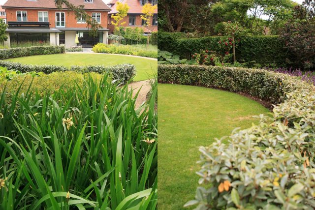 Beautiful town garden in Putney, design Garden landscaping company near me includes black granite stone paving and hard wood gates bespoke gates in hard wood.