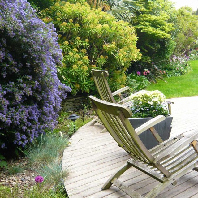 Garden Design Putney designed by Roberto Silva commissioned to construct this truly dynamic and iconic garden in Putney London, one of the best designed garden.