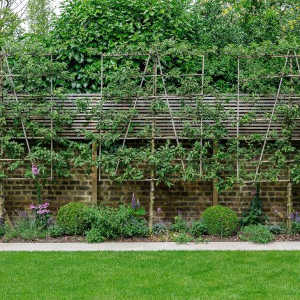 Green wall living walls example ideas installers London