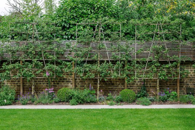 Beautiful contemporary family garden in Kew designed by Maitanne Hunt, constructed by The Garden Builders, creates a spacious, relaxing environment for entertain.