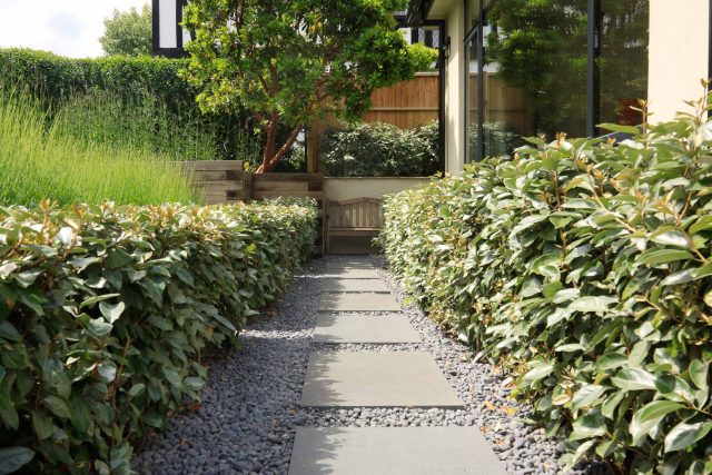 Beautiful town garden in Putney, design Garden landscaping company near me includes black granite stone paving and hard wood gates bespoke gates in hard wood.