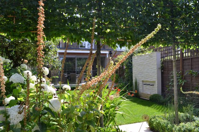 Lovely low maintenance family garden in Putney with raised bed for herbs and edible / culinary plants garden landscape design building company southwest London.