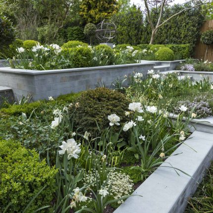 Large contemporary sophisticated garden elegant with multi-level features and staircases to the main terrace outdoor environment a stately, formal look feel.
