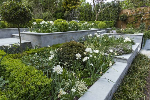 Large contemporary sophisticated garden elegant with multi-level features and staircases to the main terrace outdoor environment a stately, formal look feel.