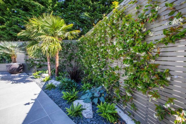 Oxshott Garden Designer Surrey stunning family garden with contemporary design, careful planting design was key to create the hidden feel to the pool designer.