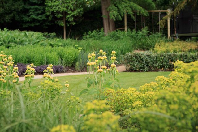 Beautiful town garden in Putney, design Garden landscaping company near me includes black granite stone paving and hard wood gates bespoke gates in hard wood.
