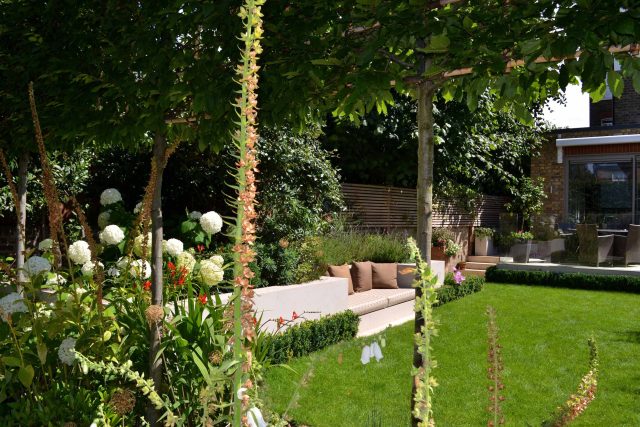 Lovely low maintenance family garden in Putney with raised bed for herbs and edible / culinary plants garden landscape design building company southwest London.