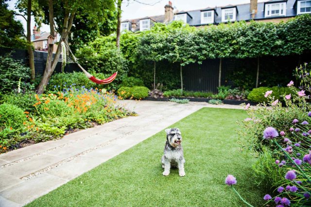 Garden with Stone terrace pathways in Wandsworth designed by Sarah Hammond constructed by the Garden Builders, classical high quality finish and low maintenance.