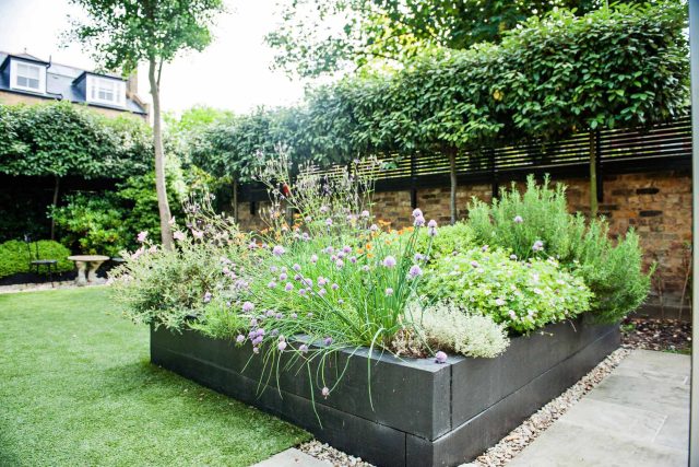 Garden with Stone terrace pathways in Wandsworth designed by Sarah Hammond constructed by the Garden Builders, classical high quality finish and low maintenance.