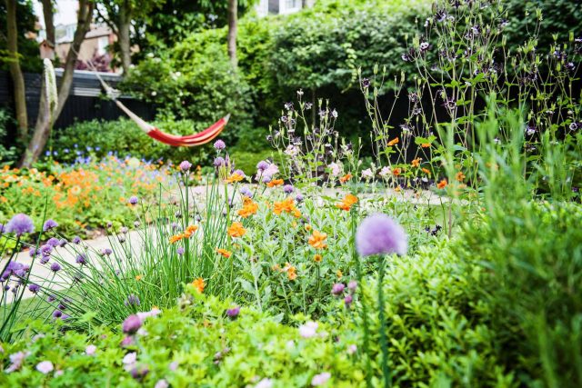 Garden with Stone terrace pathways in Wandsworth designed by Sarah Hammond constructed by the Garden Builders, classical high quality finish and low maintenance.