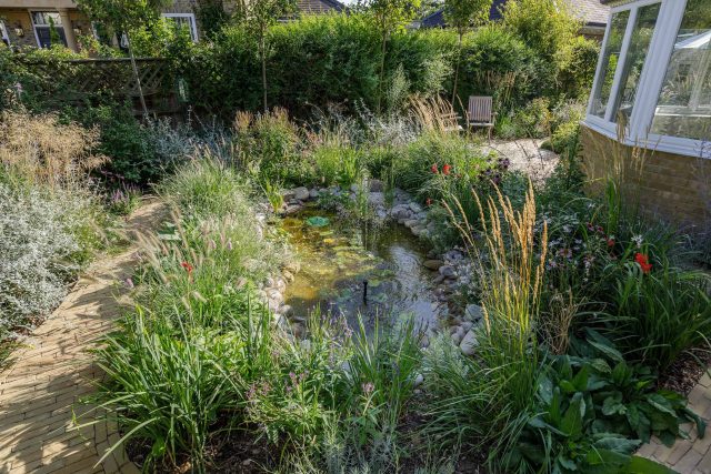 Barnes Garden designer outdoor space west London landscape planting, prairie-like style was employed throughout, naturalistic planting scheme, colour, texture.
