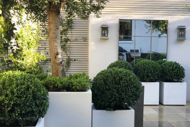 Wandsworth Garden designer initials Artificial Vertical Green Wall toward the rear of the garden breaks up the white of the adjoining trellis and creates space.