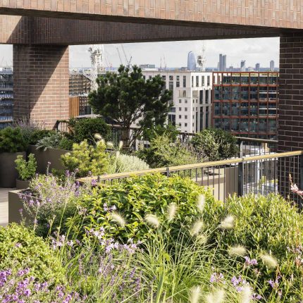 roses herbaceous borders and planting ideas contractor horticulturalist specialist London