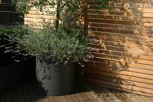 Contemporary Roof Terrace garden designer in Baker Street Marylebone, a stunning water feature curved bench cladded in iroko to create an illusion of space.