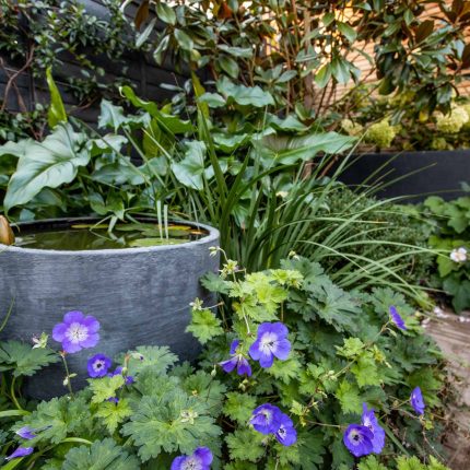 This garden design was done in-house by The Garden Builders. A small garden based in the South London, Kennington to be specific. The client was delighted.