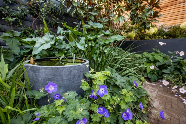 This garden design was done in-house by The Garden Builders. A small garden based in the South London, Kennington to be specific. The client was delighted.