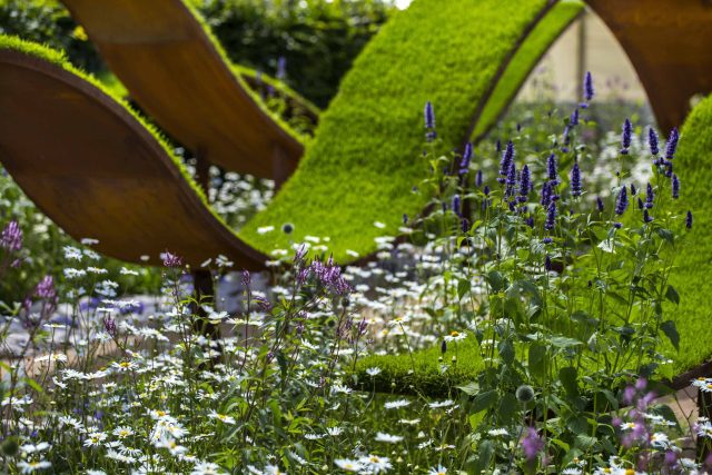 The World Vision Garden, Gold Medal Winning garden at RHS Hampton Court Palace Flower Show, The design of the garden is a horticultural interpretation London.