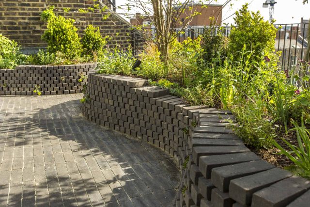 Marylebone London garden design by Todd Longstaff-Gowan and built by The Garden Buidlers brick patio drainage landscaping, planting with shrubs and climbers.