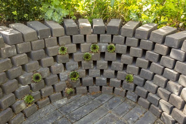Marylebone London garden design by Todd Longstaff-Gowan and built by The Garden Buidlers brick patio drainage landscaping, planting with shrubs and climbers.