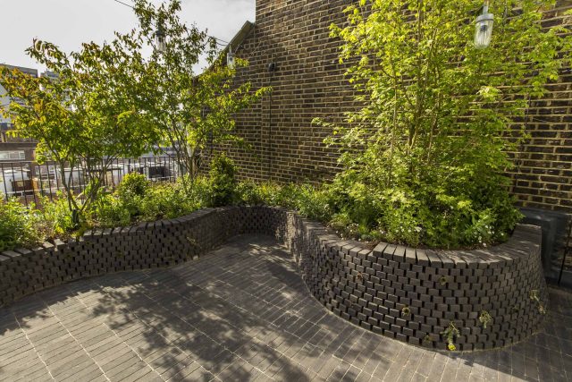 Marylebone London garden design by Todd Longstaff-Gowan and built by The Garden Buidlers brick patio drainage landscaping, planting with shrubs and climbers.