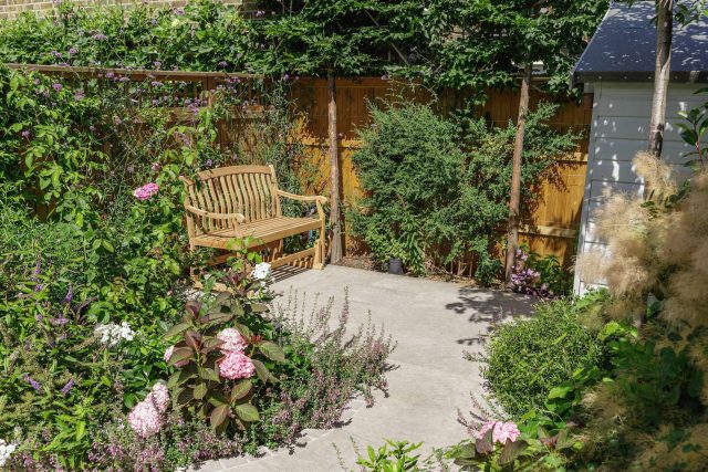 Small garden design in Clapham south London, carefully edited elements can create a perfect garden composition in a small space, planting vibrant luxuriously.