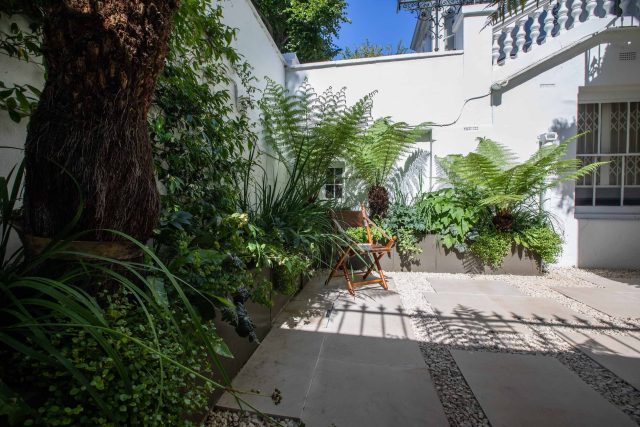 Garden Designer Holland Park London by the Garden Builders presents another beautiful small garden design in the heart of London paving tree ferns Maitanne Hunt.