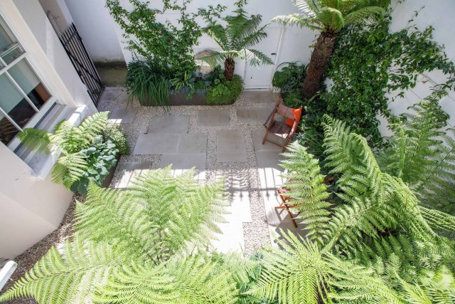 Garden Designer Holland Park London by the Garden Builders presents another beautiful small garden design in the heart of London paving tree ferns Maitanne Hunt.