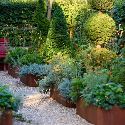 A beautiful Garden design in Esher Surrey which is becoming an increasingly popular spot for garden and landscape designs for The Garden Builders in recent year.