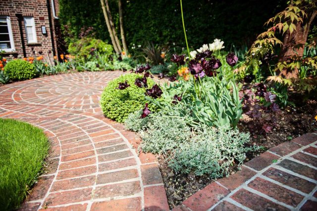 Hampstead Garden, planting design of evergreen lush structural plants and hedging, in-filled with seasonal perennials meticulous attention to correct planting.