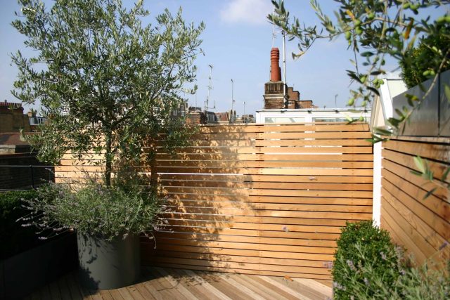Contemporary Roof Terrace garden designer in Baker Street Marylebone, a stunning water feature curved bench cladded in iroko to create an illusion of space.