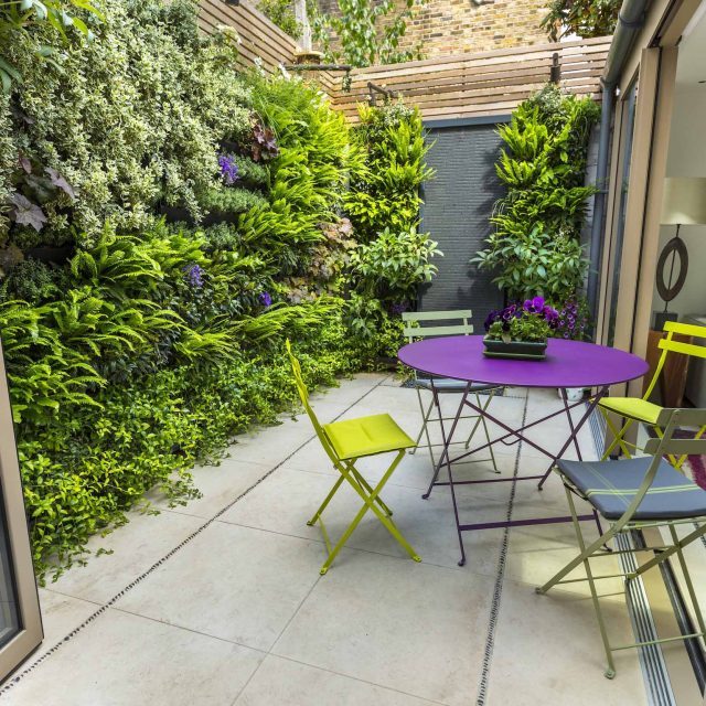 Kensington Courtyard Garden design, living green walls, illuminated with garden lighting in this limited space, a tapestry of green slatted red cedar trellis.