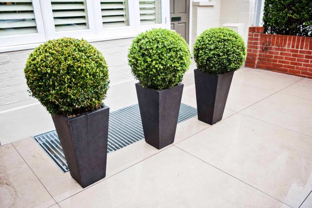 Beautiful London Garden, Clancarty Road, London, new block rendered boundary walls, planting, lighting, submersible water lights, bright contemporary effect.