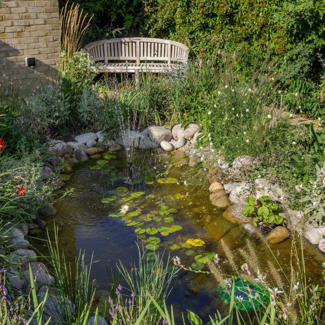 Barnes Garden designer outdoor space west London landscape planting, prairie-like style was employed throughout, naturalistic planting scheme, colour, texture.