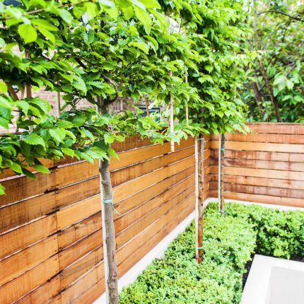 Beautiful London Garden, Clancarty Road, London, new block rendered boundary walls, planting, lighting, submersible water lights, bright contemporary effect.