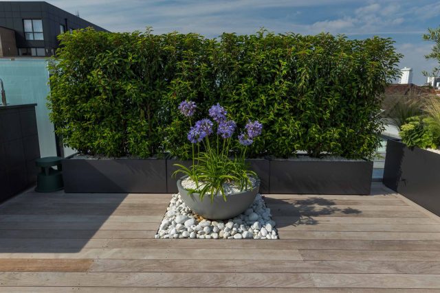 Bermondsey roof terrace Southwark in South London, The roof terrace belongs to the penthouse apartment and the brief was to create a contemporary roof terraced.