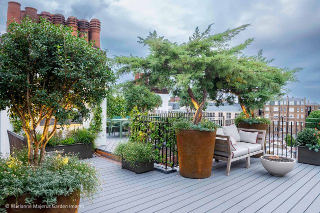 Kensington Garden Designer, Urban delight is an example of bold, structural planting working in harmony with crisp, modern materials and design, within the back.