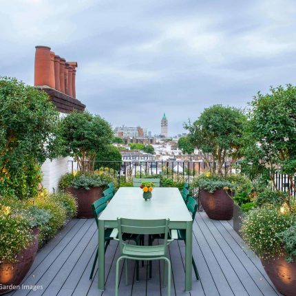 Kensington Garden Designer, Urban delight is an example of bold, structural planting working in harmony with crisp, modern materials and design, within the back.