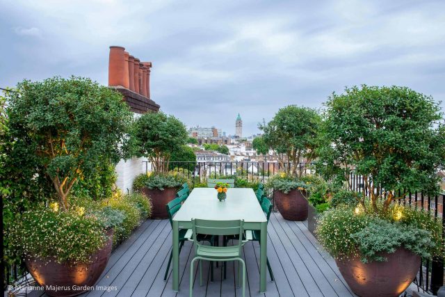 Kensington Garden Designer, Urban delight is an example of bold, structural planting working in harmony with crisp, modern materials and design, within the back.