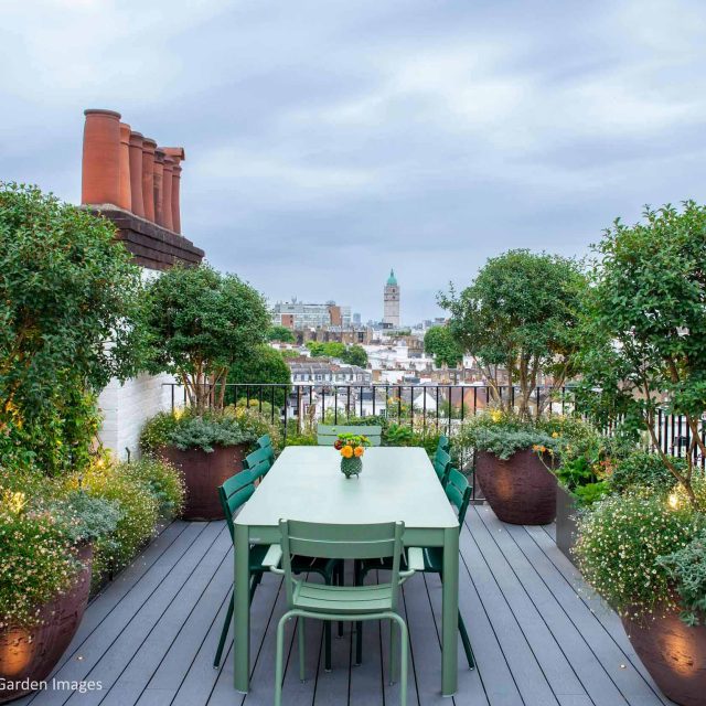 Kensington Garden Designer, Urban delight is an example of bold, structural planting working in harmony with crisp, modern materials and design, within the back.