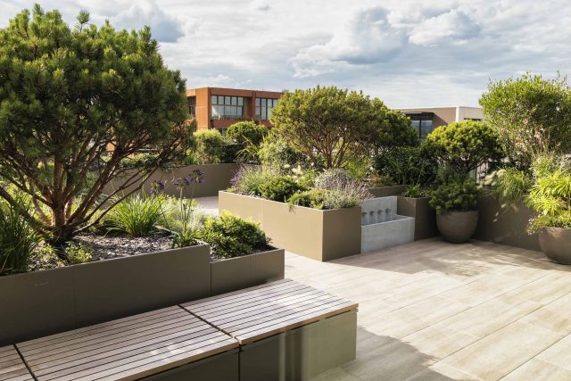 Roof terrace garden designer Belgravia building company contractors Knightsbridge planters, mature plants Hunza lighting, irrigation system Iroko benches design.