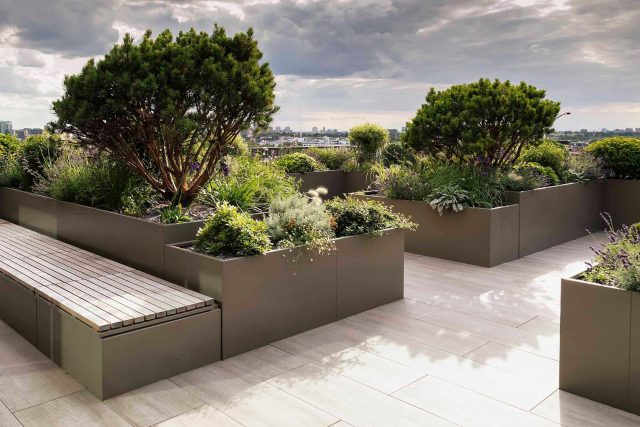 Roof terrace garden designer Belgravia building company contractors Knightsbridge planters, mature plants Hunza lighting, irrigation system Iroko benches design.