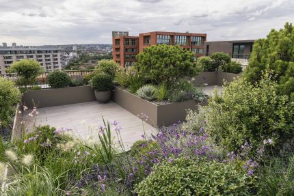 herbaceous borders and planting ideas contractor horticulturalist specialist London