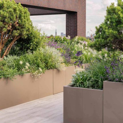 Garden maintenance planting ideas from consulting on the plant choice to construction and planting by specialist garden landscape design consultants.