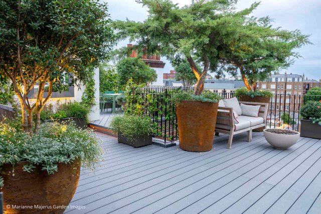 Kensington Garden Designer, Urban delight is an example of bold, structural planting working in harmony with crisp, modern materials and design, within the back.
