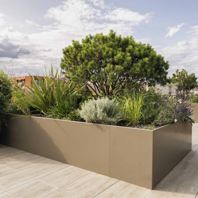 Roof terrace garden designer Belgravia building company contractors Knightsbridge planters, mature plants Hunza lighting, irrigation system Iroko benches design.