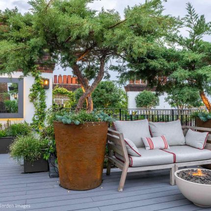 Kensington Garden Designer, Urban delight is an example of bold, structural planting working in harmony with crisp, modern materials and design, within the back.