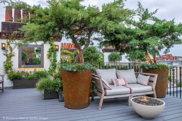 Kensington Garden Designer, Urban delight is an example of bold, structural planting working in harmony with crisp, modern materials and design, within the back.