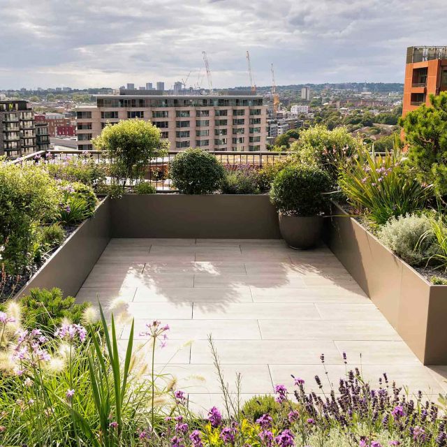 Roof terrace garden designer Belgravia building company contractors Knightsbridge planters, mature plants Hunza lighting, irrigation system Iroko benches design.