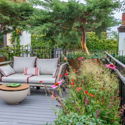 roses herbaceous borders and planting ideas contractor horticulturalist specialist London