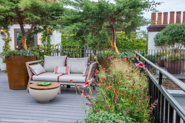 Kensington Garden Designer, Urban delight is an example of bold, structural planting working in harmony with crisp, modern materials and design, within the back.